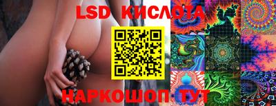 spice Краснодар