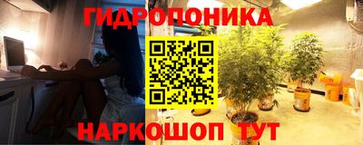 spice Краснодар